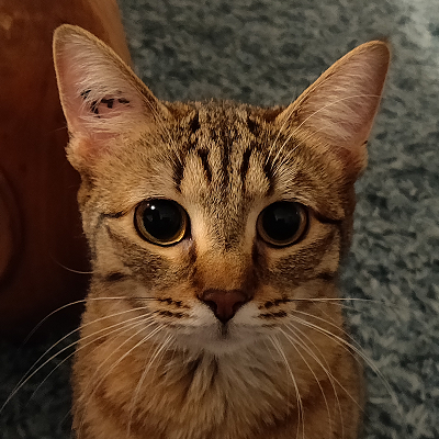 Photo de Kimi